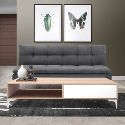 A modern living room with a gray sofa, a white coffee table featuring a decorative vase and a small figurine, complemented by a rug and two framed insect illustrations on the wall.